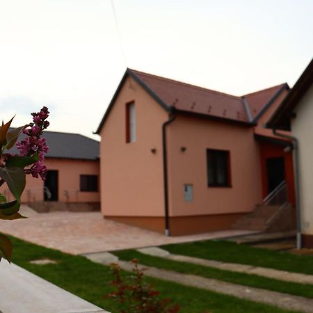 Agroturizam Opg Jakopovic Caglin Bagian luar foto